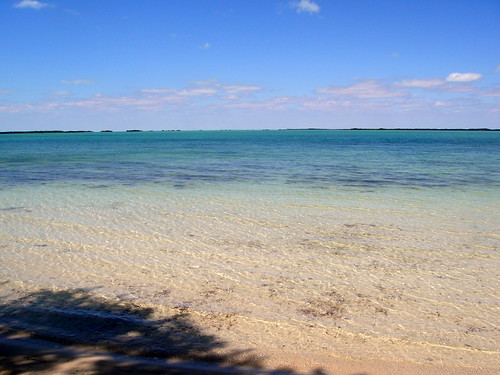 Sand Key Beach