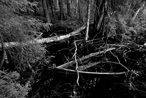 wood blackandwhite bw abandoned nature monochrome zeiss forest eos boat wooden rowboat f28 kuopio ze vene 21mm carlzeiss soutuvene canoneos5d puuvene distagont2821 distagon2128ze hiltulanlahti