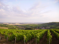 Vignoble de Bué - Photo of Le Noyer