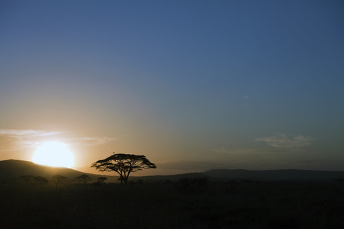 sunset tanzania serengetinationalpark ruby5 macswildpixels