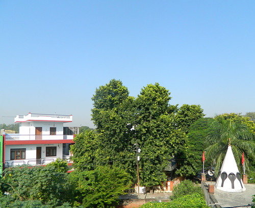 trees india green temple scenery greenery residential kanpur ashoka uttarpradesh nikoncoolpixl120 mirpurcantt triveninagar