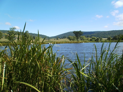 Virginia's Sky Meadow State Park's Turner Pond