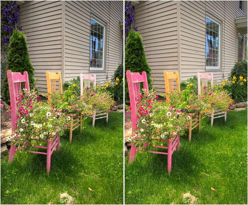 plants ny garden stereoscopic stereophotography 3d crosseye chairs gardening upstate upstateny handheld chacha hdr chautauqua 3dimensional crossview bemuspoint bemus crosseyedstereo 3dphotography chautauquacounty 3dstereo