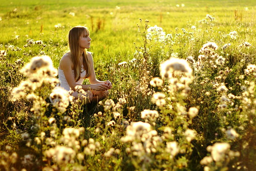 light sunset france flower nature girl beautiful field fleurs canon dof centre champs depthoffield chartres beauce eureetloir thomasgilbert cintray amilly eos550d