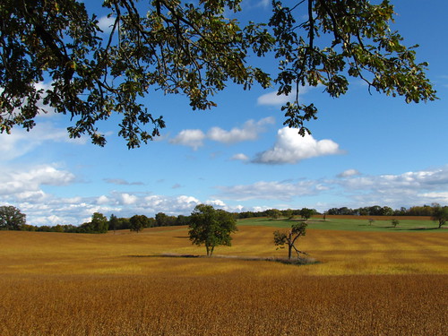 blue trees sky green wisconsin clouds farm fields oaks soybeans mukwonago