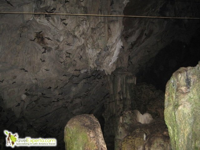 bats at Lanquin Cave in Guatemala