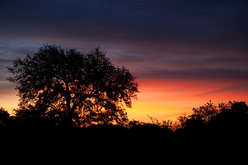 sunset texas bergheim caseymorris