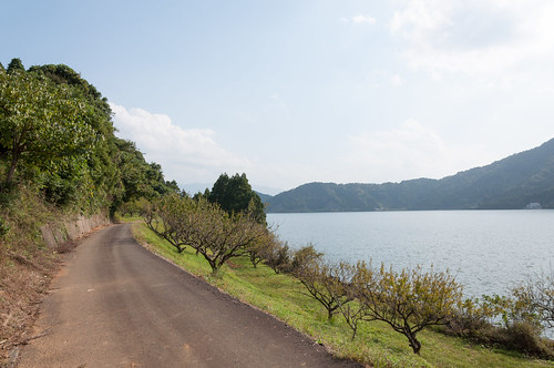 旅行 福井県 若狭町 2011 日本 japan travel fukui lake 水月湖 nikond90