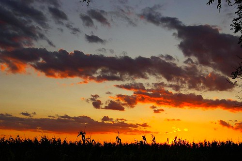 sunset ohio sky silhouette clouds corn indiana