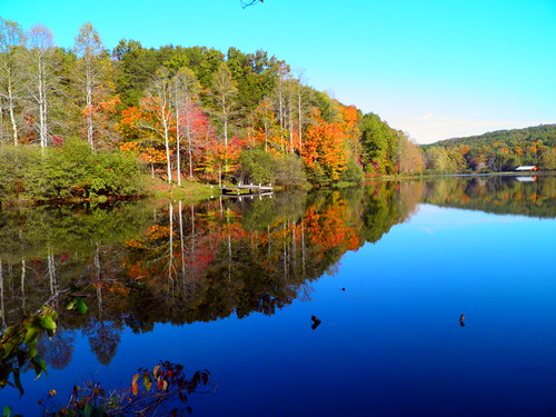 autumn lake fall water colors georgia still north fausett elzey digitalcameraclub robertlz hairygitselite