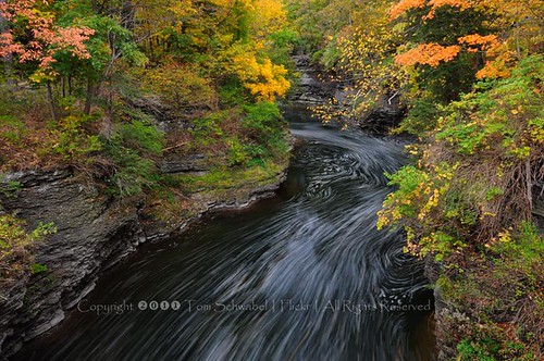autumn trees newyork motion rock creek flow maple seasons change gorge ithaca streaks fingerlakes fallcreek tomschwabel hemlockgorge