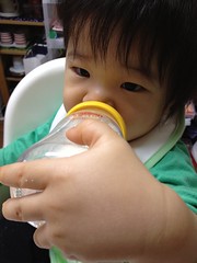 今日の片手哺乳瓶飲みとらちゃん(2011/11/20)