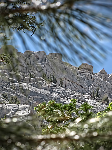 california trees mountains nature mtwhitney peggy sierranevada whitneyportal ©allrightsreserved ©peggyhughes