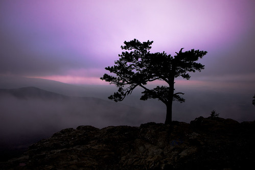 nature silhouette fog outdoors virginia us purple surreal va blueridgeparkway ravensroost