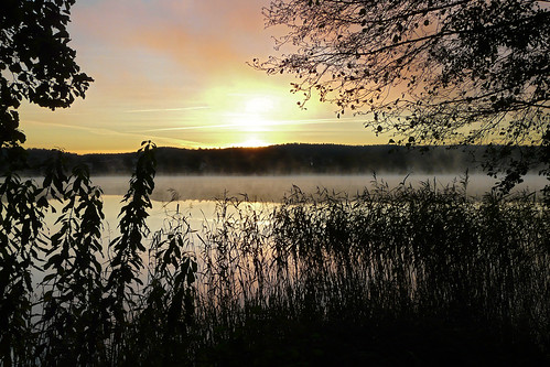 dawn sweden alingsås siluett gryning gerdsken