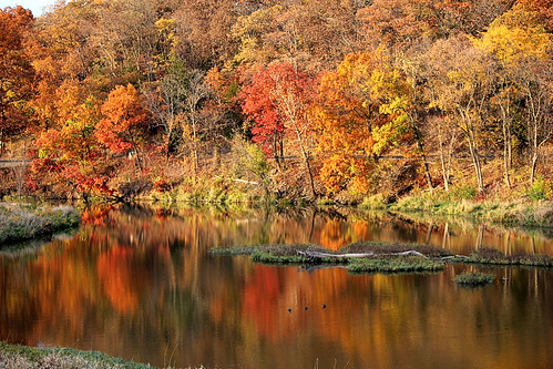 color reflection fall leaves duck kansas folliage olathe