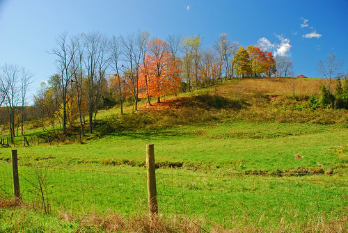 autumn ohio fall colors landscape christyroad