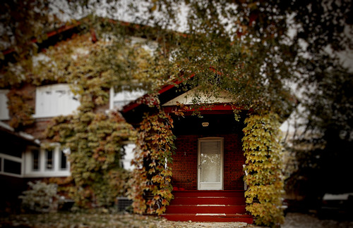 door windows red white house toronto ontario canada black green yellow steps vine step roange