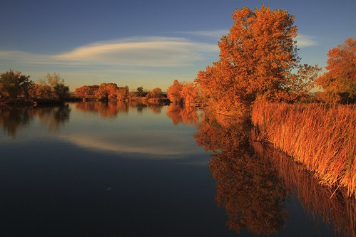 lake fall leaves reflections landscape colorado lakescape rockymountainarsenal