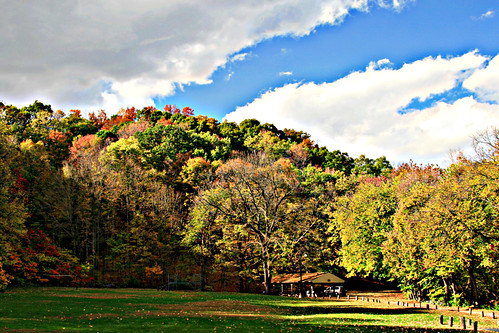 park trees west color fall leaves clouds contrast canon lafayette indiana purdue happyhollow