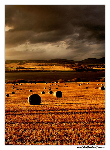 autumn light sun scotland highlands farm farming bales blackisle culbokie