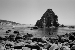 Just South of Iversen Cove - Olympus 35SP - Acros 100