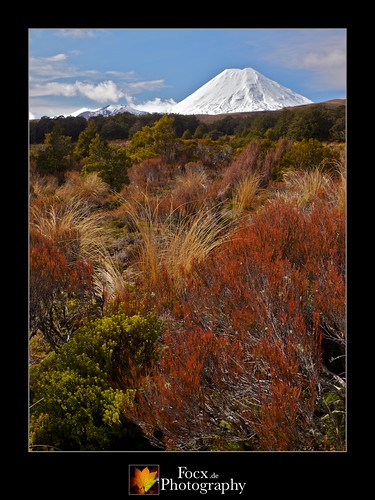 newzealand mountain snow landscape volcano colours olympus tongarironationalpark ngauruhoe e5 taranakifalls 1260mm