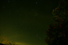303/365: Sunday, October 30, 2011: Orion, Taurus, and Pleiades