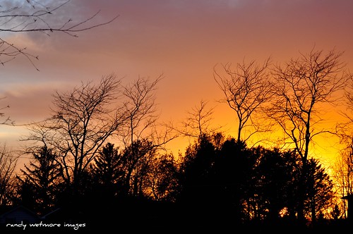 trees sunset sky nikon iowa silhoutte d90 greatphotographers blinkagain bestofblinkwinners