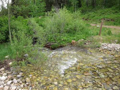stream, creek, water, mountains, tetons IMG_6866