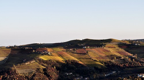 autumn sunrise vineyard alba ngc piedmont langhe vigna flickraward rodello piemionte