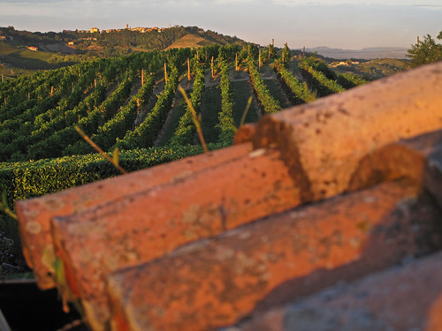 roof sunset italy sun italia tramonto tetto hills piemonte vineyards sole vigne colline collina monferrato tegole angeloamboldiphotos