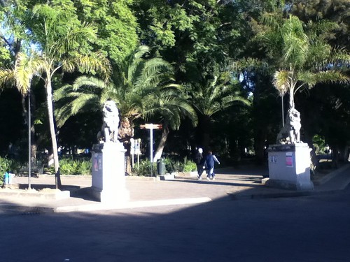 park city sunrise mexico lions oaxaca llanopark