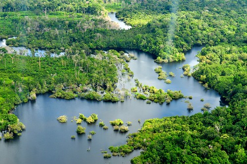 brazil horizontal forest river amazon rainforest flickr view forestry center aerial spanish international research redd forests cifor