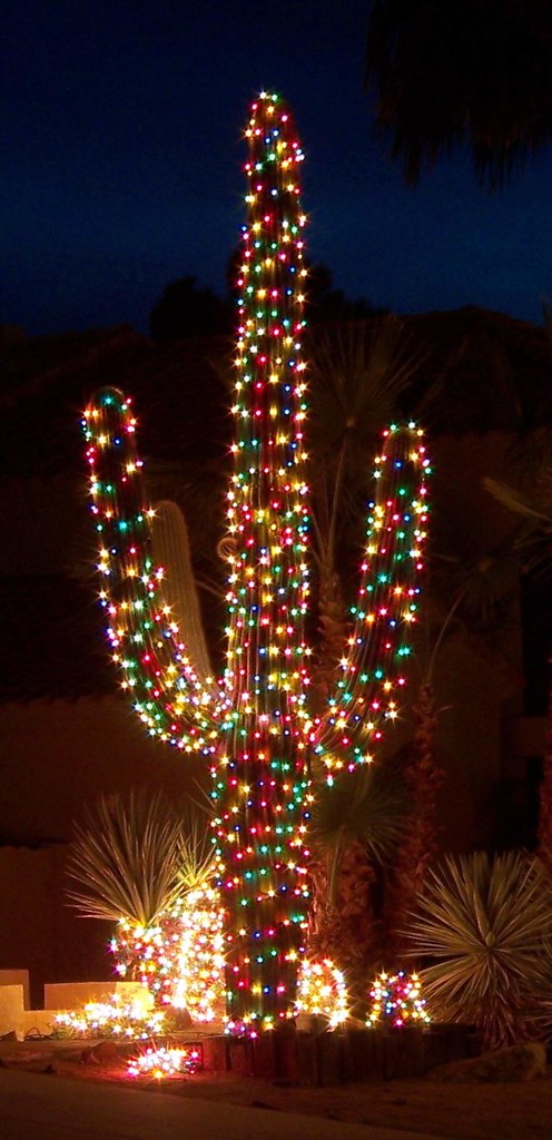 Arizona Christmas Tree
