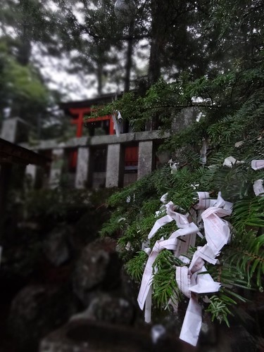 small shrine in Momiji Park - Miyagima by girl from finito
