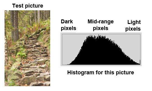 An even distribution of the bars in the middle of the histogram indicates a good exposure in the mid-range of brightness.
