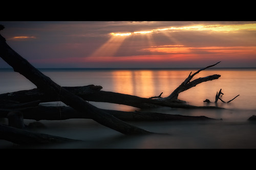 longexposure morning trees light color beach water sunrise dawn bay decay maryland rays chesapeake chesapeakebay