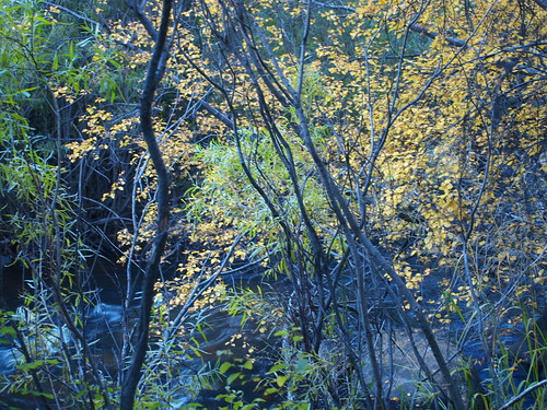 creek colorado beaver skagway beavercreekwilderness skaguay camfirephotos skaguaypowerplant