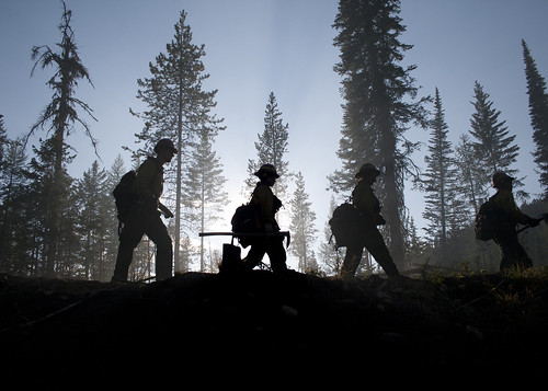 Spiraling firefighting costs have shrunk the budget for critical forest and rangeland priorities, including investing in Forest Service programs designed to mitigate the impacts of wildfire.