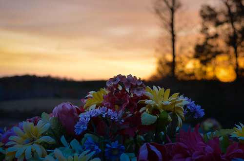 sunset fall cemetery plasticflowers
