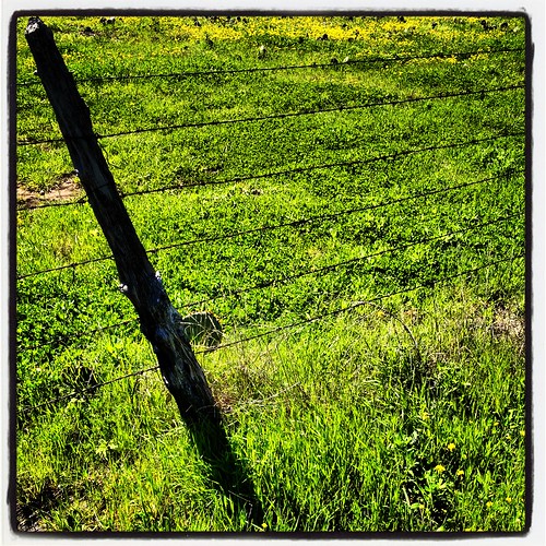 road fence wooden wire texas post dirt wildflowers clover barbed bluebonnets