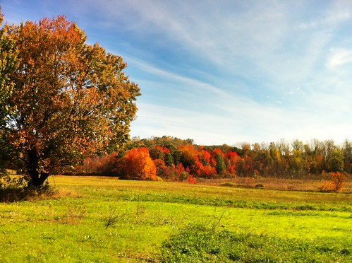 autumnfoliage fall leaves ma westfield westernma peakcolor