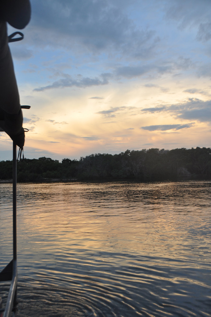 Sunset Cruise on the Zambezi River