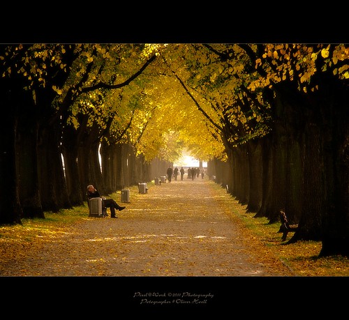 autumn photoshop canon germany way landscape eos yahoo google october flickr raw image © adobe lightroom copyrighted lowersaxony maschsee 2011 digitalcameraclub pixelwork 500px thelightpainterssociety oliverhoell pixelwork©11photography copyright©2011bypixelwork thebeautifulway allphotoscopyrighted