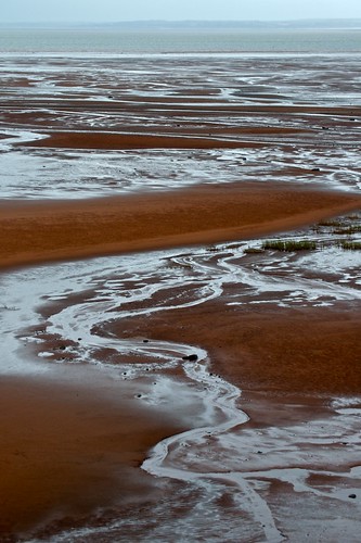 ocean autumn red canada fall water silver landscape sand october novascotia tide horizon salt swirl bayoffundy fundy curve tideland doubleniceshot tripleniceshot mygearandme mygearandmepremium mygearandmebronze mygearandmesilver