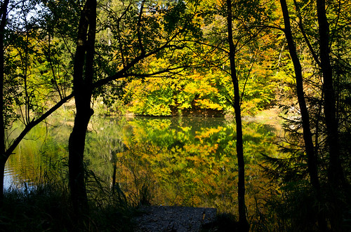 autumn germany bayern bavaria forrest herbst teich wald oliverkuehne