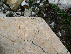 Bearing Mark, Battery Croghan, Fort San Jacinto, Galveston, Texas 1023111243