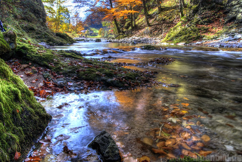 wood autumn trees tree fall creek forest flow bayern bavaria wasser herbst bach wald bäume baum autumnal hdr kampenwand 巴伐利亚 chiemgau aschau flus awter 3exp alpenbildde