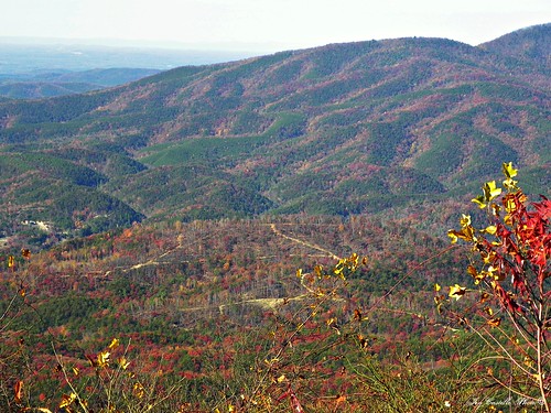 autumn trees mountains color fall leaves georgia fallcolor roads fortmountain overlooks murraycounty nov112011